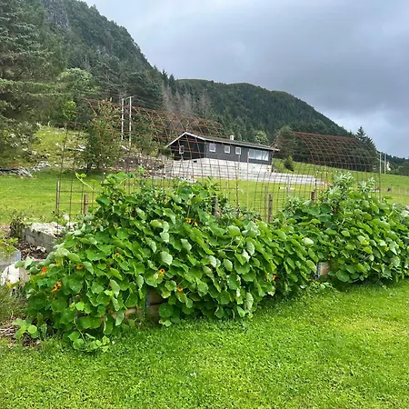Med Sjøutsikt På Ulstein Leilighet *